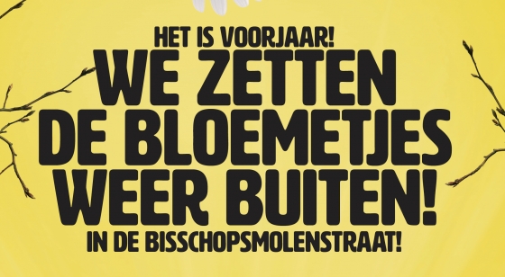 We zetten weer de bloemetjes buiten!